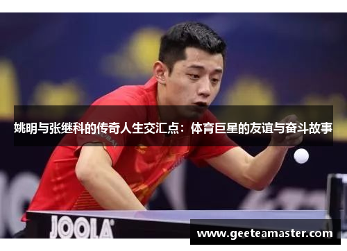 姚明与张继科的传奇人生交汇点：体育巨星的友谊与奋斗故事