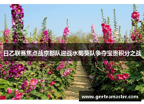 日乙联赛焦点战京都队迎战水蜀葵队争夺宝贵积分之战