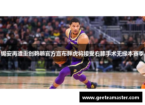 锡安再遭重创鹈鹕官方宣布胖虎将接受右膝手术无缘本赛季